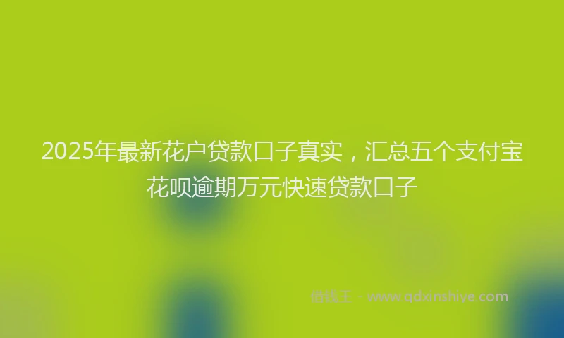 2025年最新花户贷款口子真实，汇总五个支付宝花呗逾期万元快速贷款口子