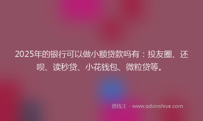 2025年的银行可以做小额贷款吗有：投友圈、还呗、读秒贷、小花钱包、微粒贷等。