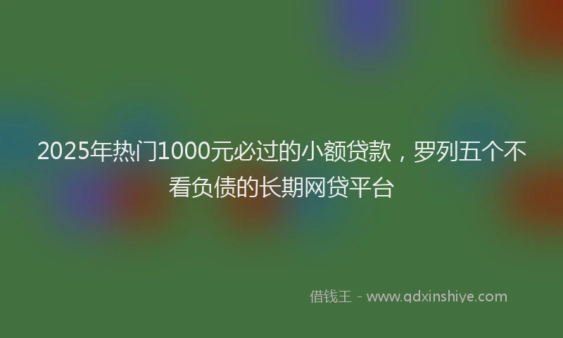 2025年热门1000元必过的小额贷款，罗列五个不看负债的长期网贷平台
