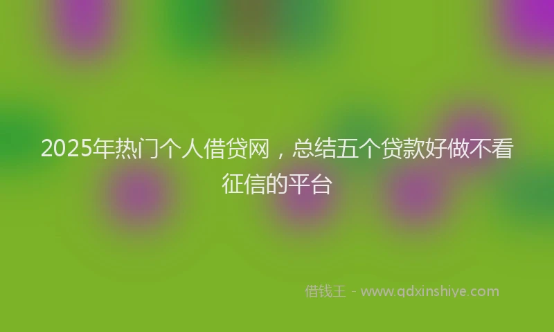 2025年热门个人借贷网，总结五个贷款好做不看征信的平台