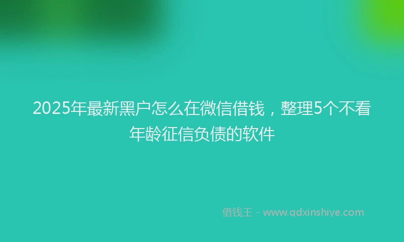 2025年最新黑户怎么在微信借钱，整理5个不看年龄征信负债的软件