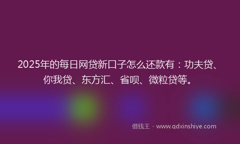 2025年的每日网贷新口子怎么还款有：功夫贷、你我贷、东方汇、省呗、微粒贷等。