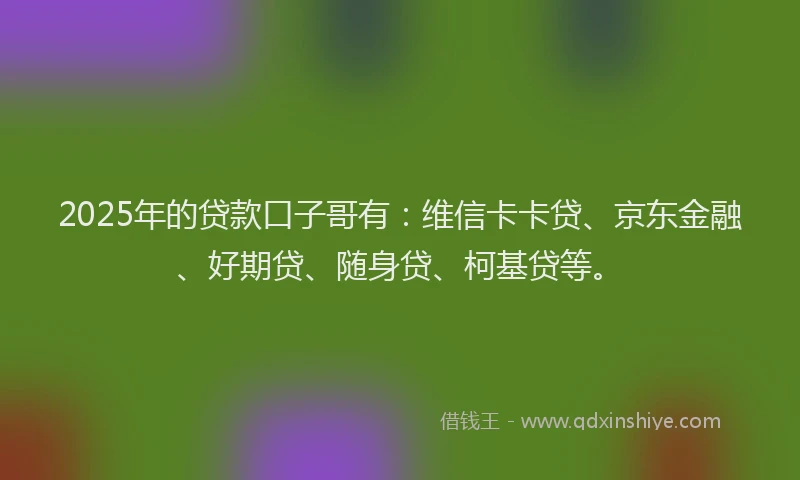 2025年的贷款口子哥有：维信卡卡贷、京东金融、好期贷、随身贷、柯基贷等。