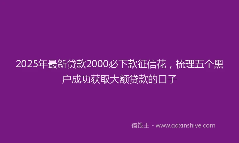 2025年最新贷款2000必下款征信花，梳理五个黑户成功获取大额贷款的口子