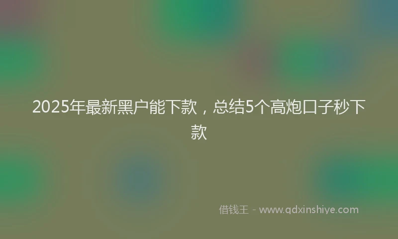 2025年最新黑户能下款，总结5个高炮口子秒下款