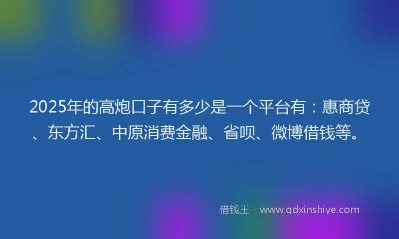 2025年的高炮口子有多少是一个平台有：惠商贷、东方汇、中原消费金融、省呗、微博借钱等。