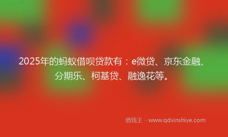 2025年的蚂蚁借呗贷款有：e微贷、京东金融、分期乐、柯基贷、融逸花等。