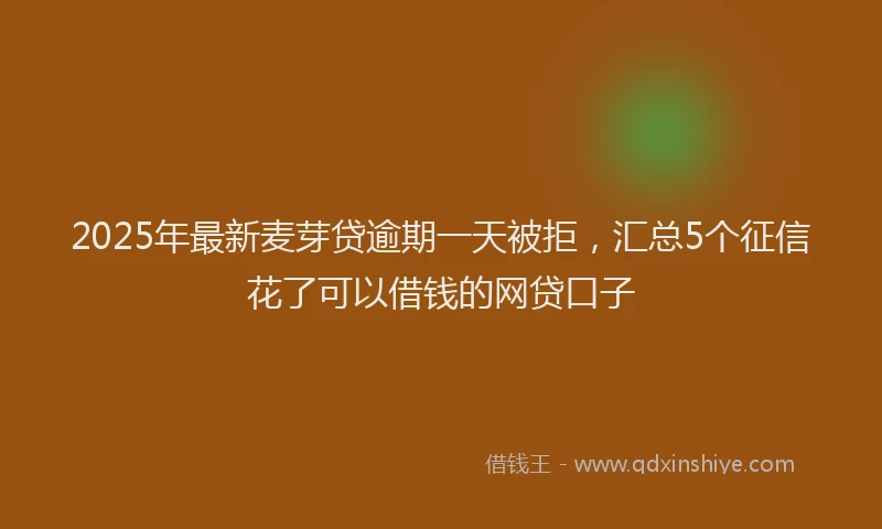 2025年最新麦芽贷逾期一天被拒，汇总5个征信花了可以借钱的网贷口子