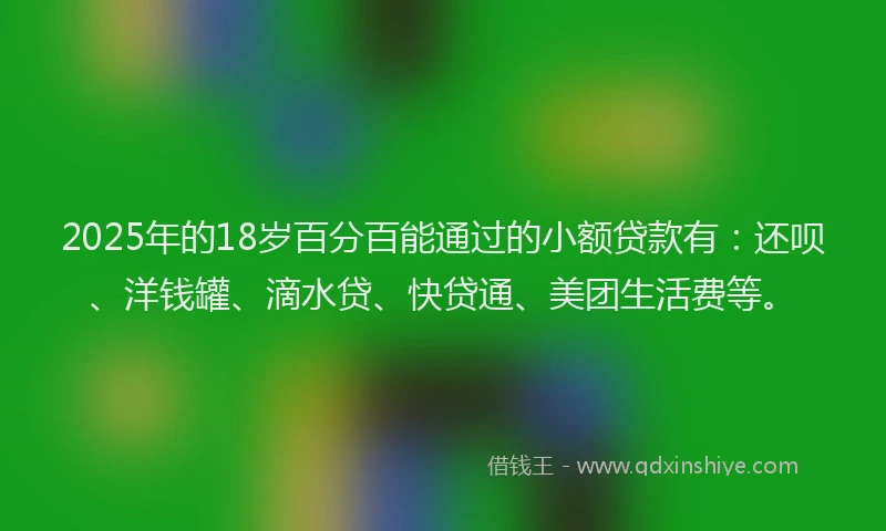 2025年的18岁百分百能通过的小额贷款有：还呗、洋钱罐、滴水贷、快贷通、美团生活费等。
