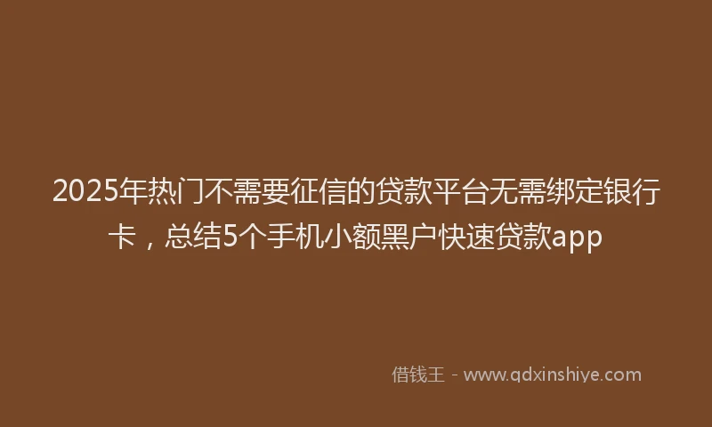 2025年热门不需要征信的贷款平台无需绑定银行卡，总结5个手机小额黑户快速贷款app