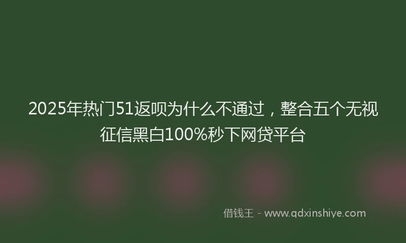 2025年热门51返呗为什么不通过，整合五个无视征信黑白100%秒下网贷平台