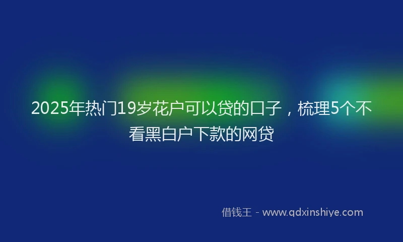 2025年热门19岁花户可以贷的口子，梳理5个不看黑白户下款的网贷