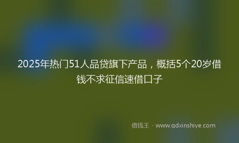 2025年热门51人品贷旗下产品，概括5个20岁借钱不求征信速借口子