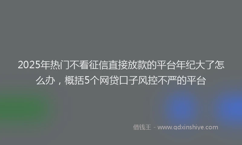 2025年热门不看征信直接放款的平台年纪大了怎么办，概括5个网贷口子风控不严的平台