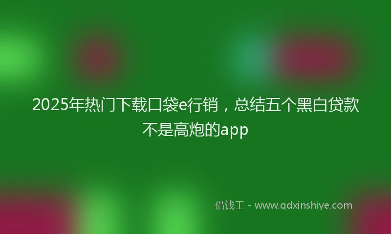 2025年热门下载口袋e行销，总结五个黑白贷款不是高炮的app