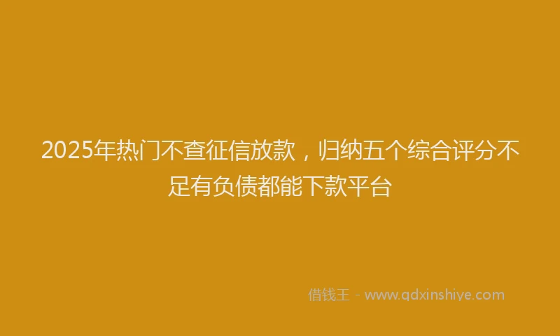 2025年热门不查征信放款，归纳五个综合评分不足有负债都能下款平台