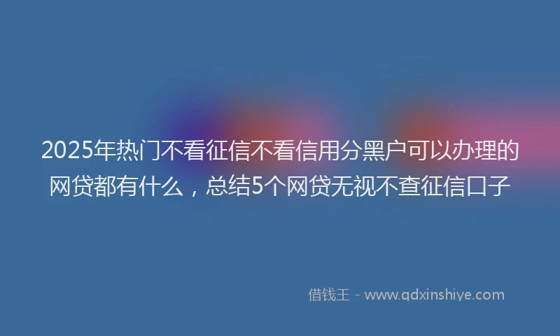 2025年热门不看征信不看信用分黑户可以办理的网贷都有什么，总结5个网贷无视不查征信口子