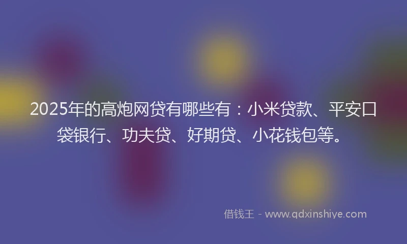 2025年的高炮网贷有哪些有：小米贷款、平安口袋银行、功夫贷、好期贷、小花钱包等。