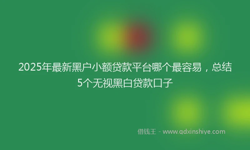 2025年最新黑户小额贷款平台哪个最容易，总结5个无视黑白贷款口子