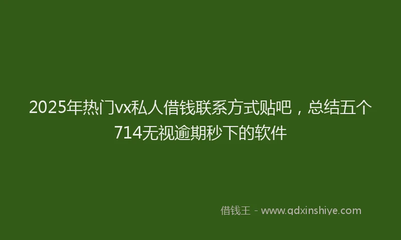 2025年热门vx私人借钱联系方式贴吧，总结五个714无视逾期秒下的软件