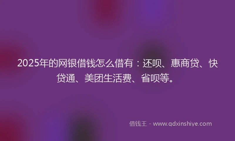 2025年的网银借钱怎么借有：还呗、惠商贷、快贷通、美团生活费、省呗等。