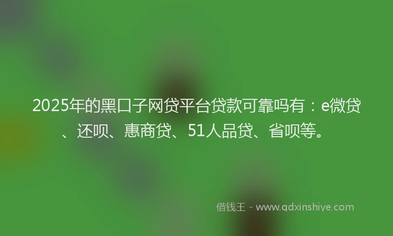 2025年的黑口子网贷平台贷款可靠吗有：e微贷、还呗、惠商贷、51人品贷、省呗等。