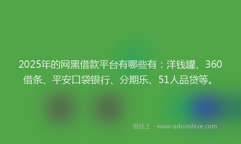 2025年的网黑借款平台有哪些有：洋钱罐、360借条、平安口袋银行、分期乐、51人品贷等。