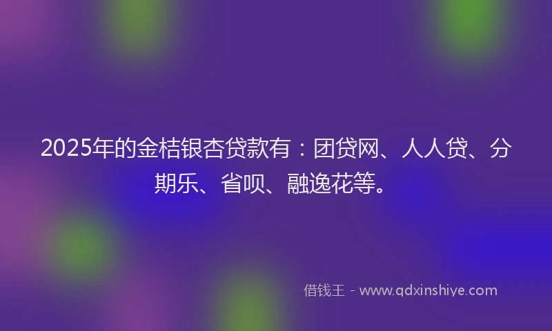 2025年的金桔银杏贷款有：团贷网、人人贷、分期乐、省呗、融逸花等。