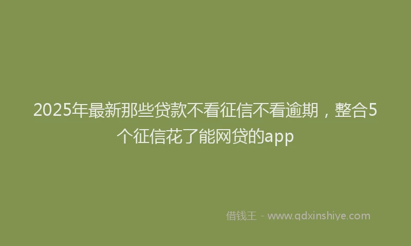 2025年最新那些贷款不看征信不看逾期，整合5个征信花了能网贷的app