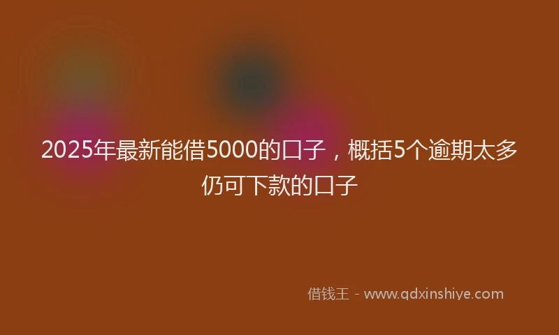 2025年最新能借5000的口子，概括5个逾期太多仍可下款的口子