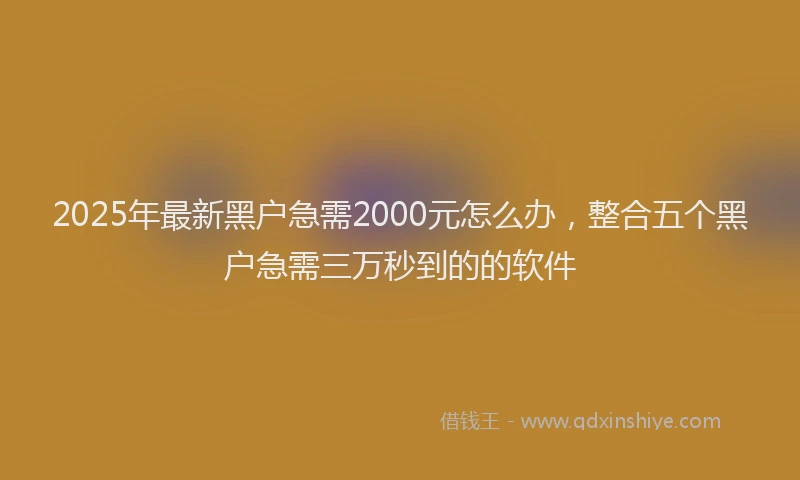 2025年最新黑户急需2000元怎么办，整合五个黑户急需三万秒到的的软件