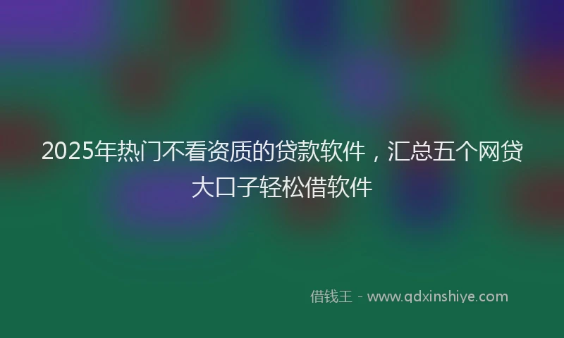 2025年热门不看资质的贷款软件，汇总五个网贷大口子轻松借软件