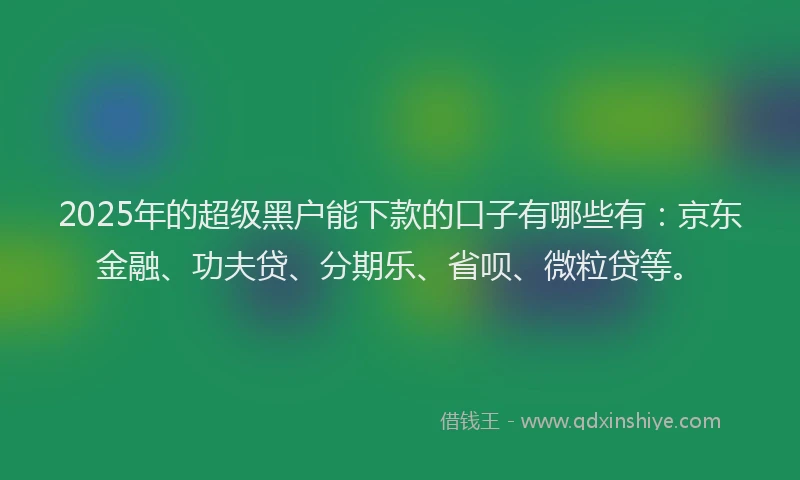 2025年的超级黑户能下款的口子有哪些有：京东金融、功夫贷、分期乐、省呗、微粒贷等。