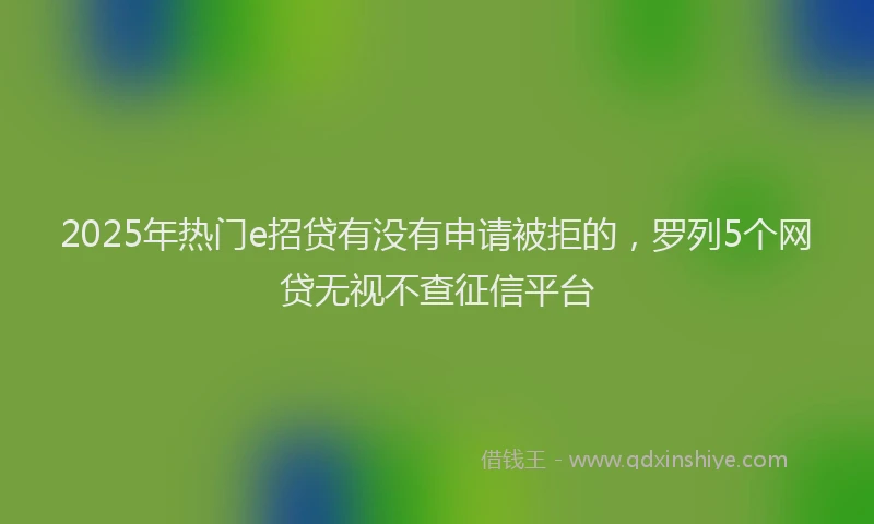 2025年热门e招贷有没有申请被拒的，罗列5个网贷无视不查征信平台