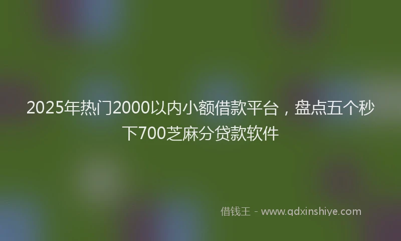 2025年热门2000以内小额借款平台，盘点五个秒下700芝麻分贷款软件