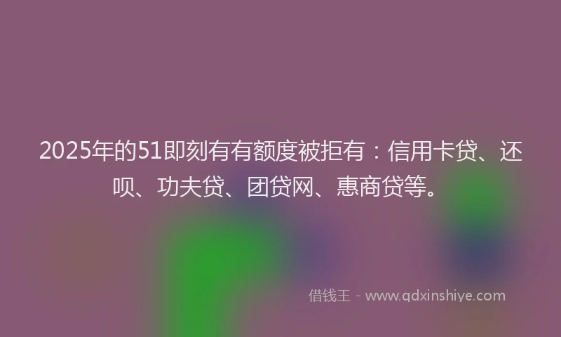 2025年的51即刻有有额度被拒有：信用卡贷、还呗、功夫贷、团贷网、惠商贷等。