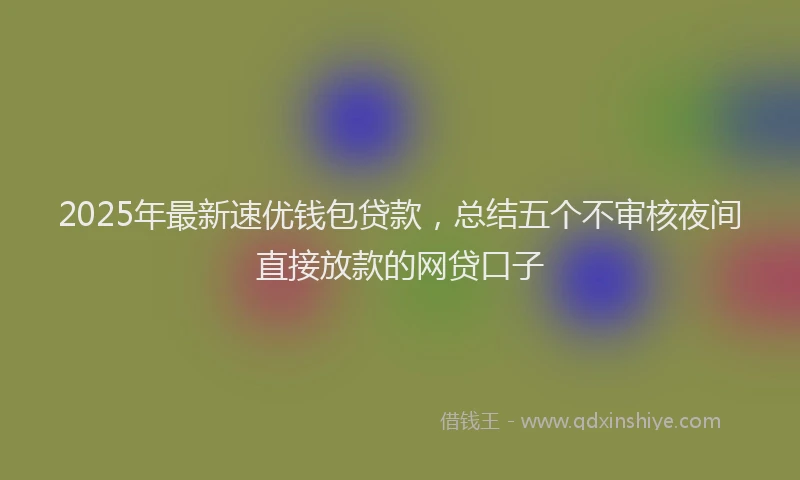 2025年最新速优钱包贷款，总结五个不审核夜间直接放款的网贷口子