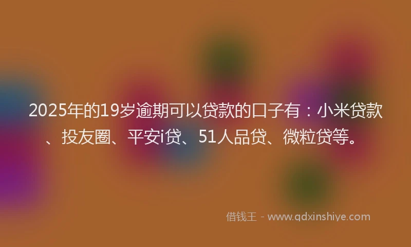 2025年的19岁逾期可以贷款的口子有：小米贷款、投友圈、平安i贷、51人品贷、微粒贷等。