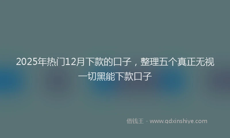 2025年热门12月下款的口子，整理五个真正无视一切黑能下款口子