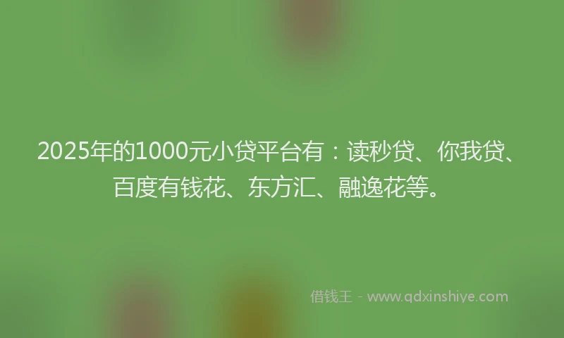 2025年的1000元小贷平台有：读秒贷、你我贷、百度有钱花、东方汇、融逸花等。