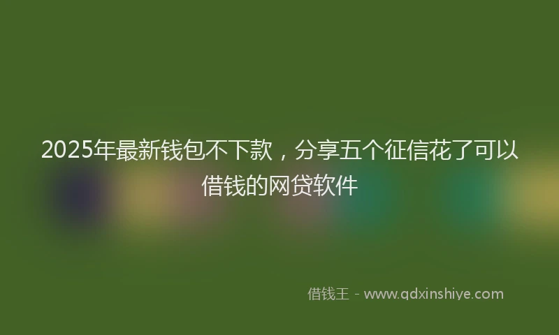 2025年最新钱包不下款，分享五个征信花了可以借钱的网贷软件