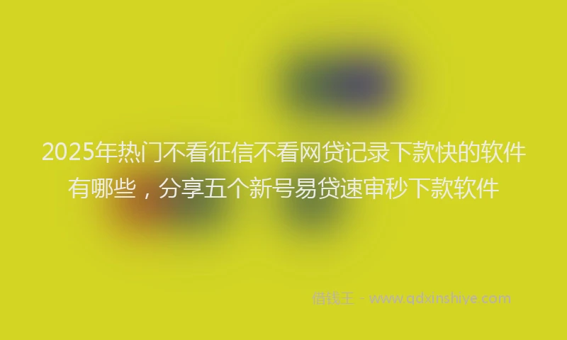 2025年热门不看征信不看网贷记录下款快的软件有哪些，分享五个新号易贷速审秒下款软件