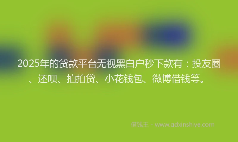 2025年的贷款平台无视黑白户秒下款有：投友圈、还呗、拍拍贷、小花钱包、微博借钱等。