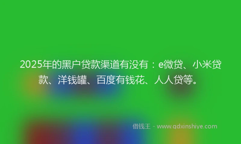 2025年的黑户贷款渠道有没有：e微贷、小米贷款、洋钱罐、百度有钱花、人人贷等。