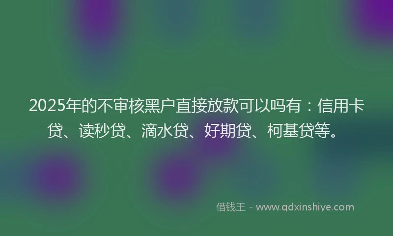 2025年的不审核黑户直接放款可以吗有：信用卡贷、读秒贷、滴水贷、好期贷、柯基贷等。