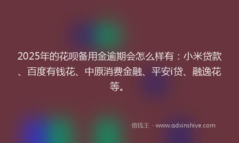 2025年的花呗备用金逾期会怎么样有：小米贷款、百度有钱花、中原消费金融、平安i贷、融逸花等。
