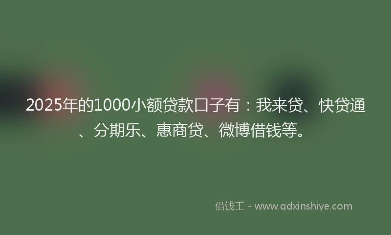 2025年的1000小额贷款口子有：我来贷、快贷通、分期乐、惠商贷、微博借钱等。