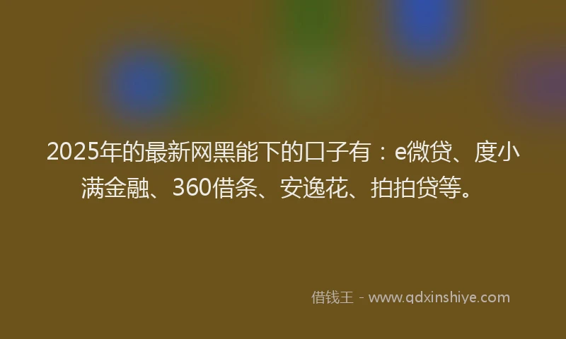 2025年的最新网黑能下的口子有：e微贷、度小满金融、360借条、安逸花、拍拍贷等。