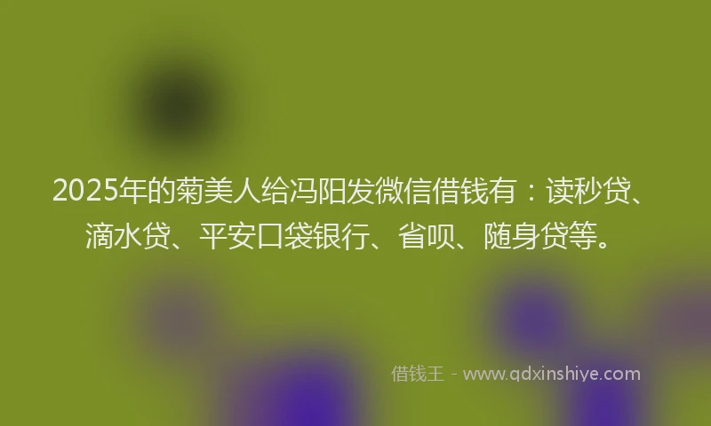 2025年的菊美人给冯阳发微信借钱有：读秒贷、滴水贷、平安口袋银行、省呗、随身贷等。