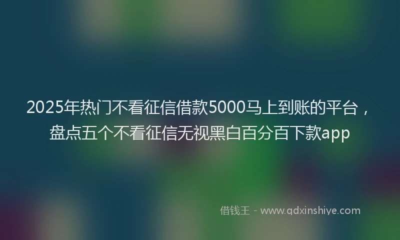 2025年热门不看征信借款5000马上到账的平台，盘点五个不看征信无视黑白百分百下款app